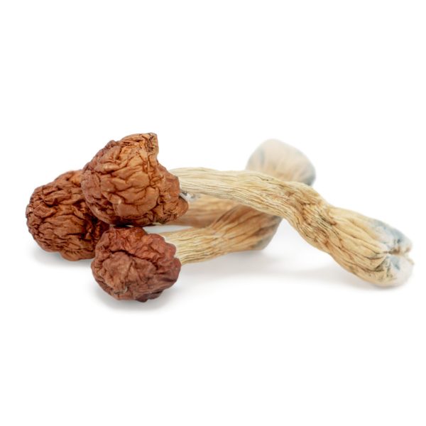 Magic Mushrooms – Melmac Penis Envy