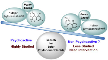 The Difference Between Psychoactive and Non-Psychoactive Compounds