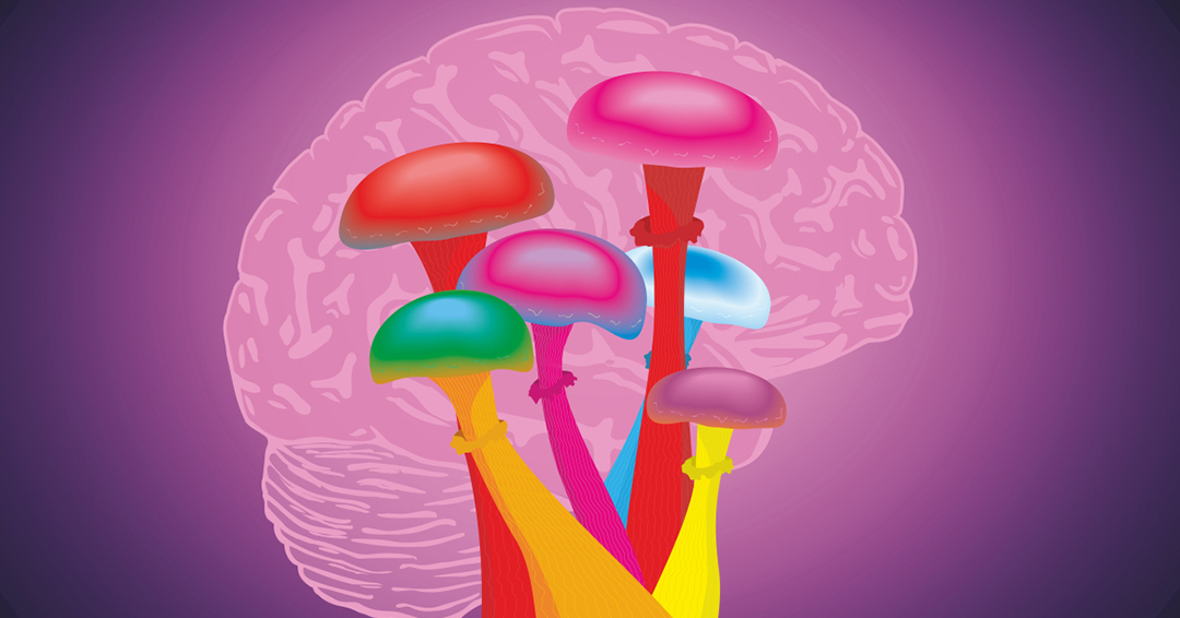 Psilocybin for Brain Fog: A New Path to Mental Clarity?