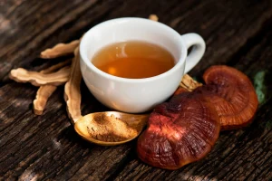 Mushrooms for Post-Workout Recovery and Inflammation Reduction