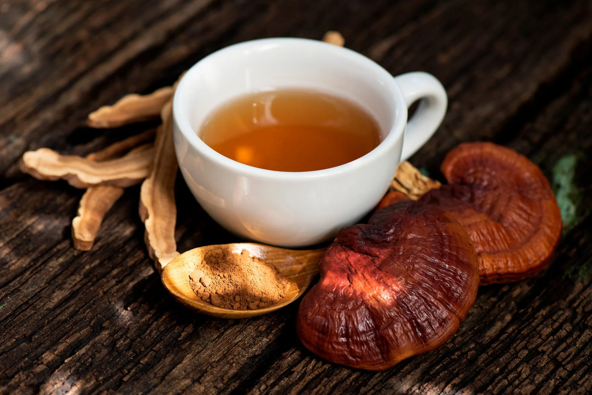 Mushrooms for Post-Workout Recovery and Inflammation Reduction