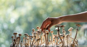 Can Microdosing Psilocybin Support Emotional Balance and Resilience?