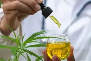 Cannabis Journeys: Using THC as a Gateway to Mindful Introspection