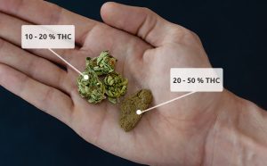 THC and Sleep Debt Recovery: Can Cannabis Help Reset Exhausted Brains?