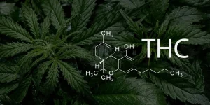 https://buycheapweed.cc/product-category/thc-distillate/