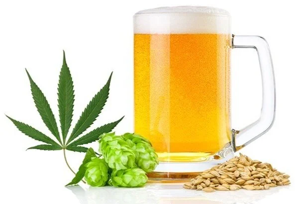 Cannabis for Confidence: How THC Might Support Social Ease and Presence