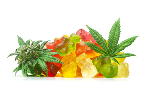 Neuroplasticity and Cannabis: How THC May Rewire Learning Pathways